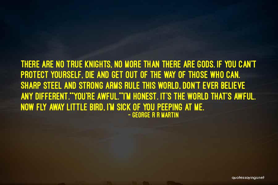 Believe You Can Fly Quotes By George R R Martin Believe You Can Fly Quotes By George R R Martin
