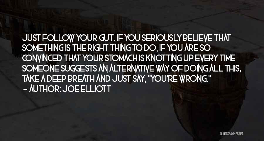 Believe Your Gut Quotes By Joe Elliott