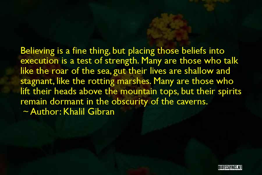 Believe Your Gut Quotes By Khalil Gibran