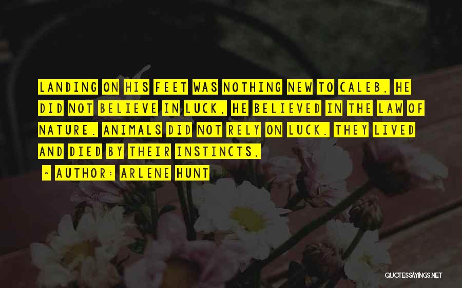 Believe Your Instincts Quotes By Arlene Hunt