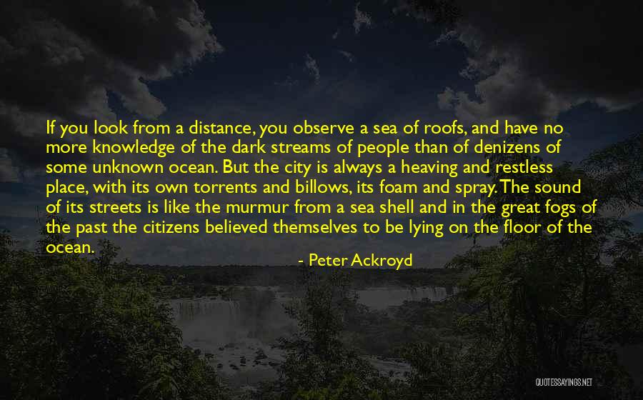 Believed You Quotes By Peter Ackroyd