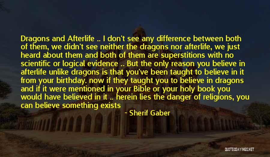 Believed Your Lies Quotes By Sherif Gaber