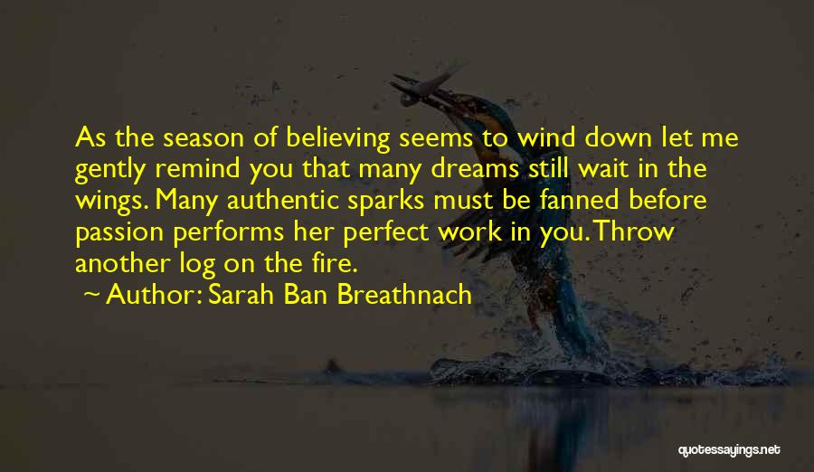 Believing In Dreams Quotes By Sarah Ban Breathnach