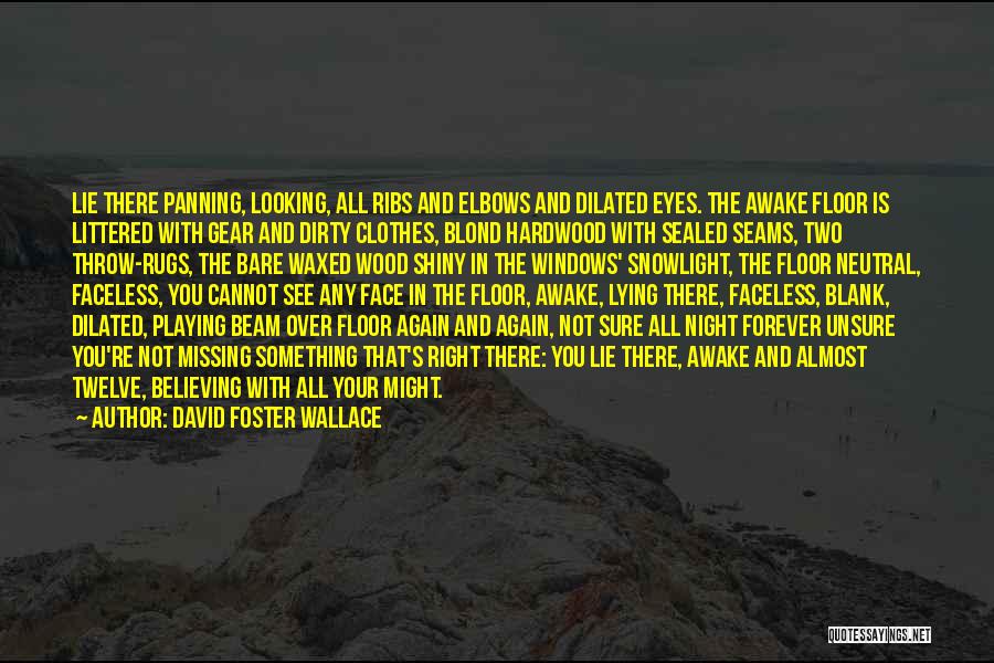 Believing In Something Quotes By David Foster Wallace