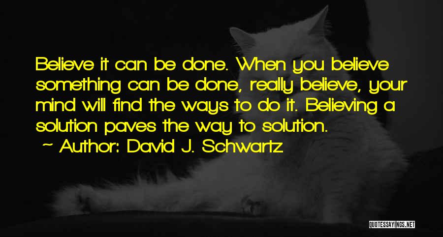 Believing You Can Do Something Quotes By David J. Schwartz