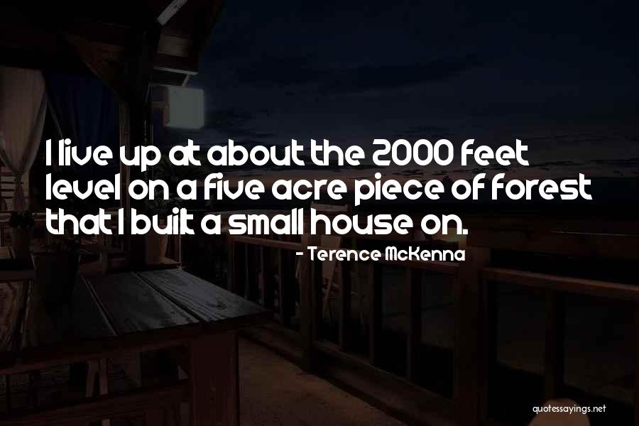 Belike For Want Of Rain Quotes By Terence McKenna Belike For Want Of Rain Quotes By Terence McKenna