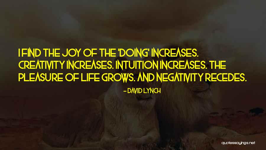 Belinski House Quotes By David Lynch Belinski House Quotes By David Lynch