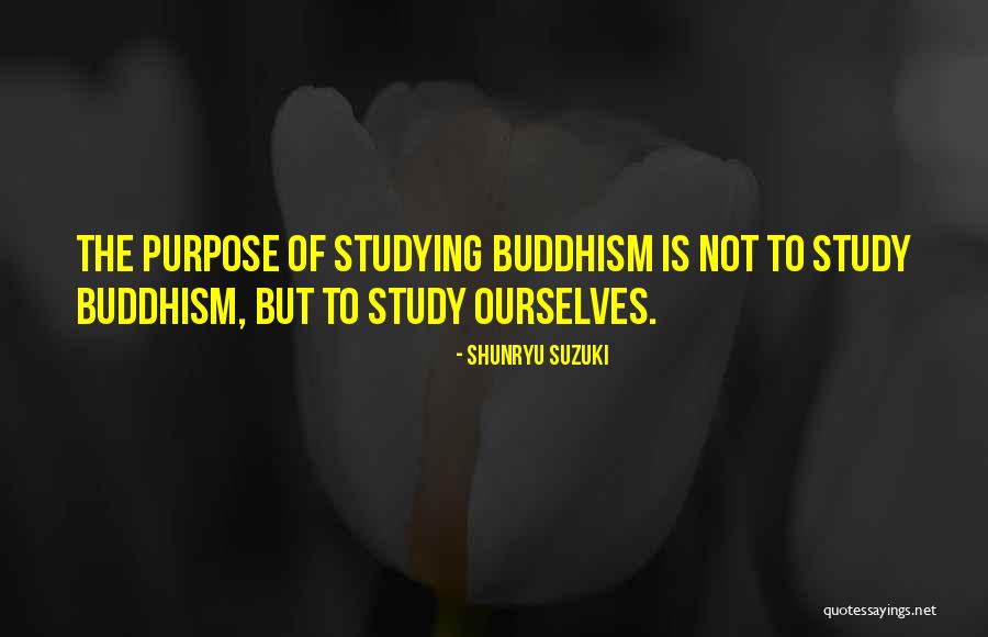 Beliris Bruxelles Quotes By Shunryu Suzuki Beliris Bruxelles Quotes By Shunryu Suzuki