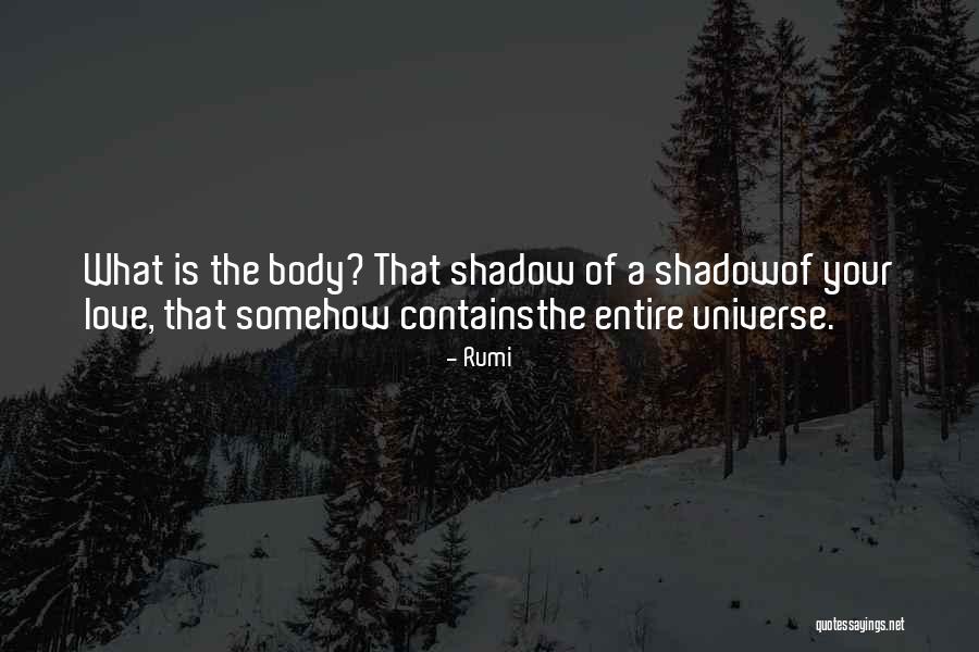 Belisle Traps Quotes By Rumi Belisle Traps Quotes By Rumi