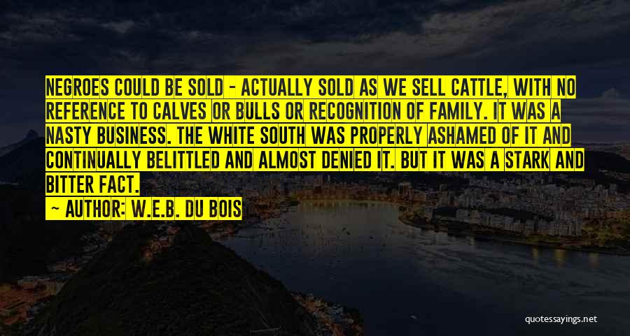 Belittled Quotes By W.E.B. Du Bois