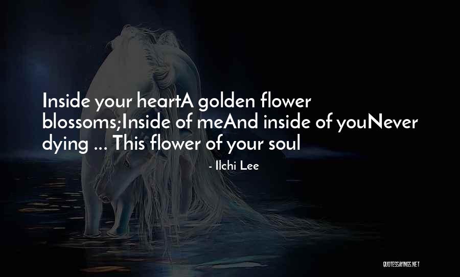 Beliveau Estate Quotes By Ilchi Lee Beliveau Estate Quotes By Ilchi Lee