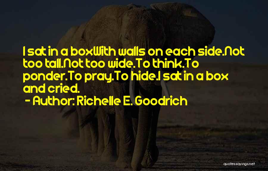 Belkzize Quotes By Richelle E. Goodrich