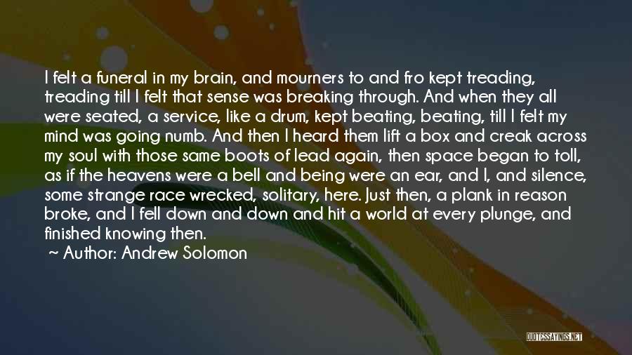 Bell Toll Quotes By Andrew Solomon