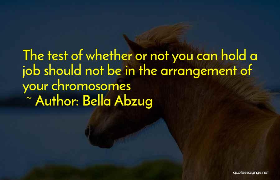 Bella Abzug Quotes 1442221