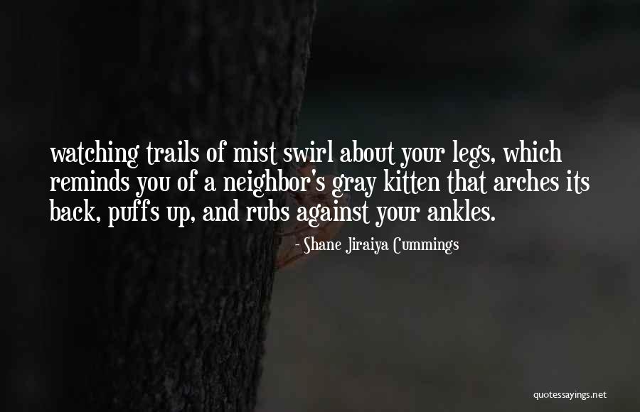 Bellachase Quotes By Shane Jiraiya Cummings Bellachase Quotes By Shane Jiraiya Cummings