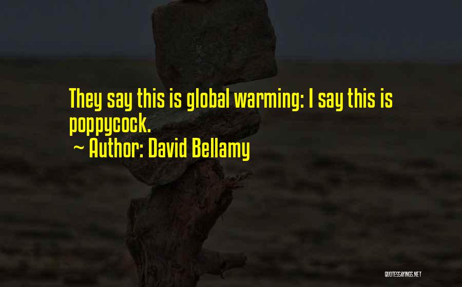 Bellamy Quotes By David Bellamy