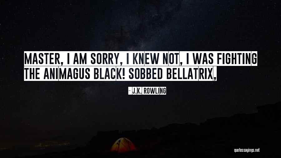 Bellatrix Black Quotes By J.K. Rowling Bellatrix Black Quotes By J.K. Rowling