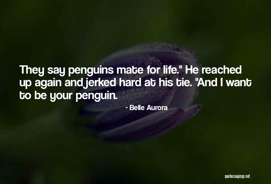 Belle Aurora Quotes 1549594 Belle Aurora Quotes 1549594