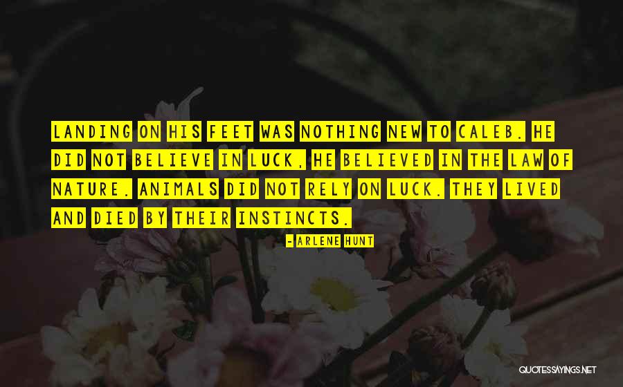 Bellewaerde Quotes By Arlene Hunt Bellewaerde Quotes By Arlene Hunt