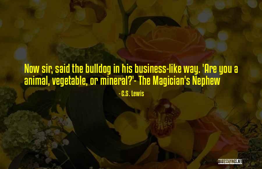 Bellmere Winds Quotes By C.S. Lewis Bellmere Winds Quotes By C.S. Lewis