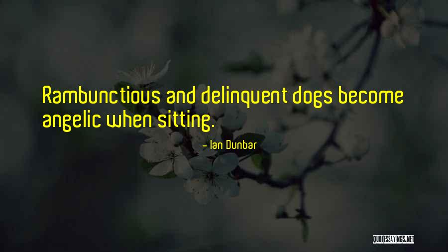 Bellony Quotes By Ian Dunbar Bellony Quotes By Ian Dunbar