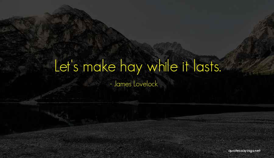 Bellosguardo Estate Quotes By James Lovelock