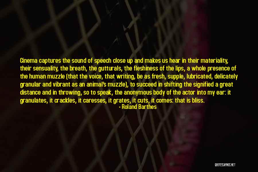 Bellucci Pizza Quotes By Roland Barthes Bellucci Pizza Quotes By Roland Barthes