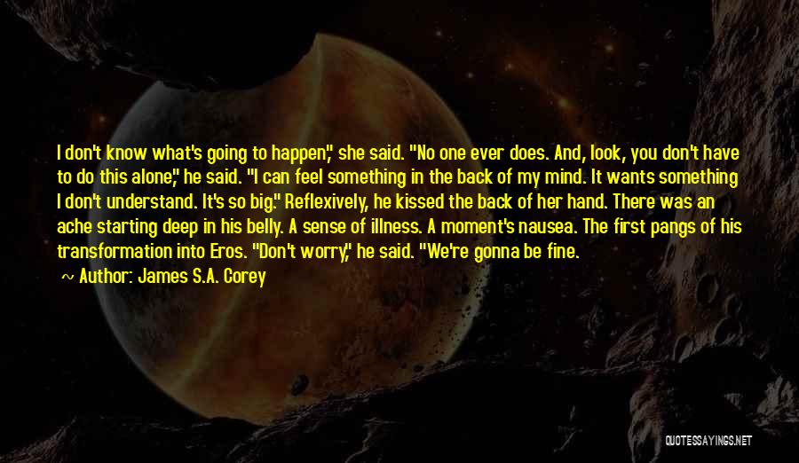 Belly Ache Quotes By James S.A. Corey