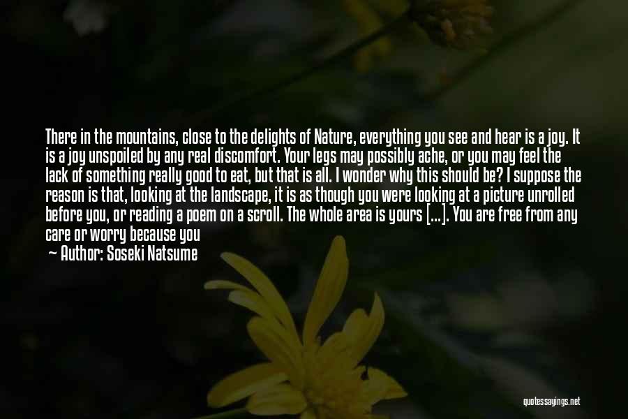 Belly Ache Quotes By Soseki Natsume