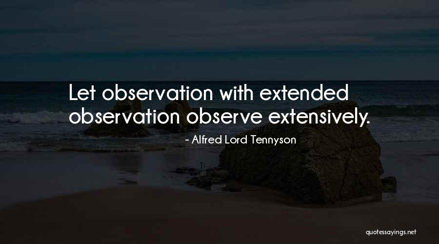 Belly Button Love Quotes By Alfred Lord Tennyson Belly Button Love Quotes By Alfred Lord Tennyson