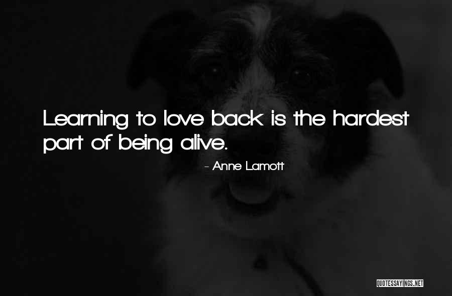 Belly Button Love Quotes By Anne Lamott Belly Button Love Quotes By Anne Lamott