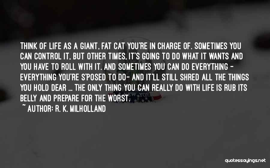 Belly Fat Quotes By R. K. Milholland