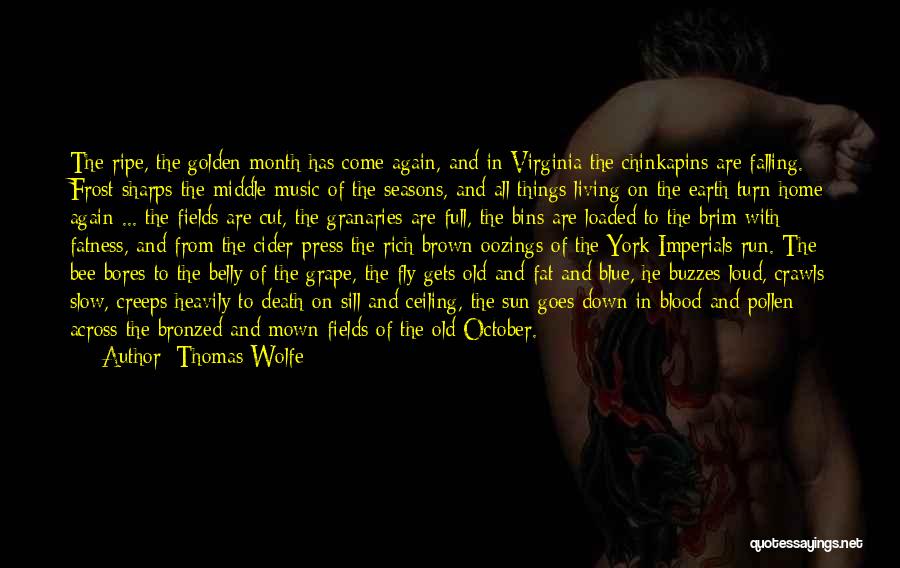 Belly Fat Quotes By Thomas Wolfe