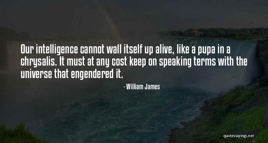 Bellys Bbq Quotes By William James Bellys Bbq Quotes By William James