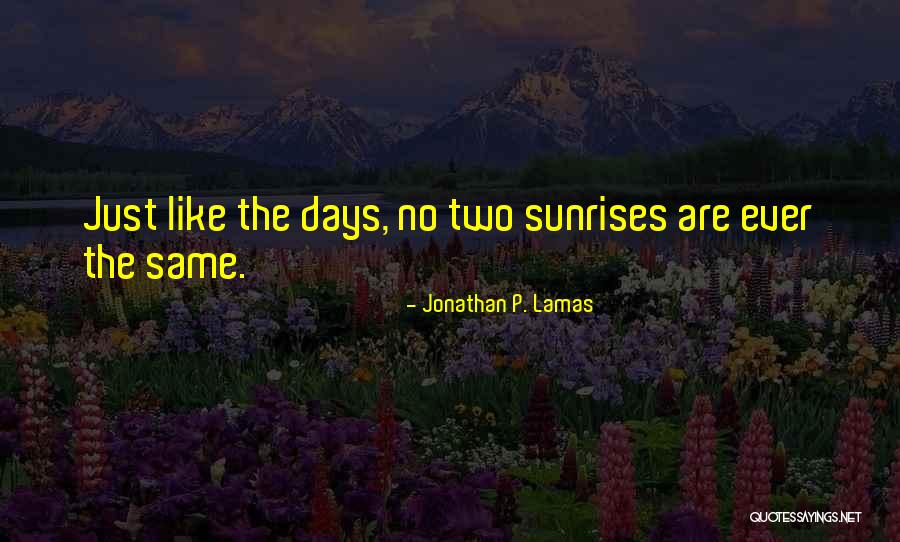 Belmondo Westport Quotes By Jonathan P. Lamas Belmondo Westport Quotes By Jonathan P. Lamas