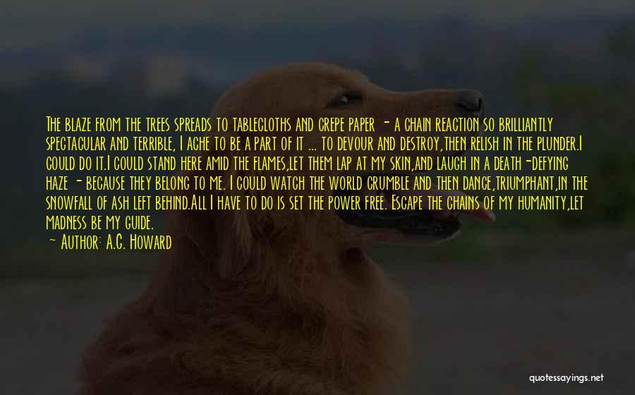Belong To The World Quotes By A.G. Howard