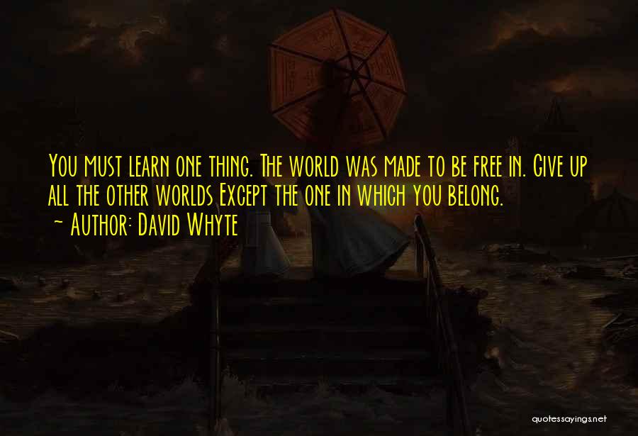 Belong To The World Quotes By David Whyte Belong To The World Quotes By David Whyte