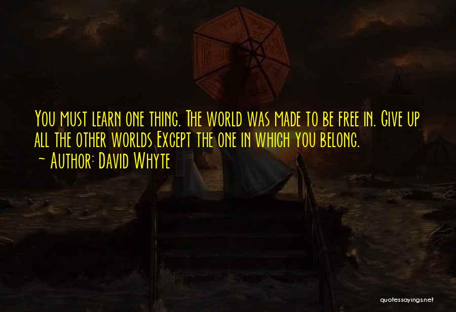 Belong To The World Quotes By David Whyte