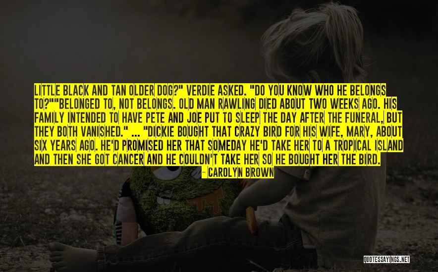 Belongs To You Quotes By Carolyn Brown Belongs To You Quotes By Carolyn Brown