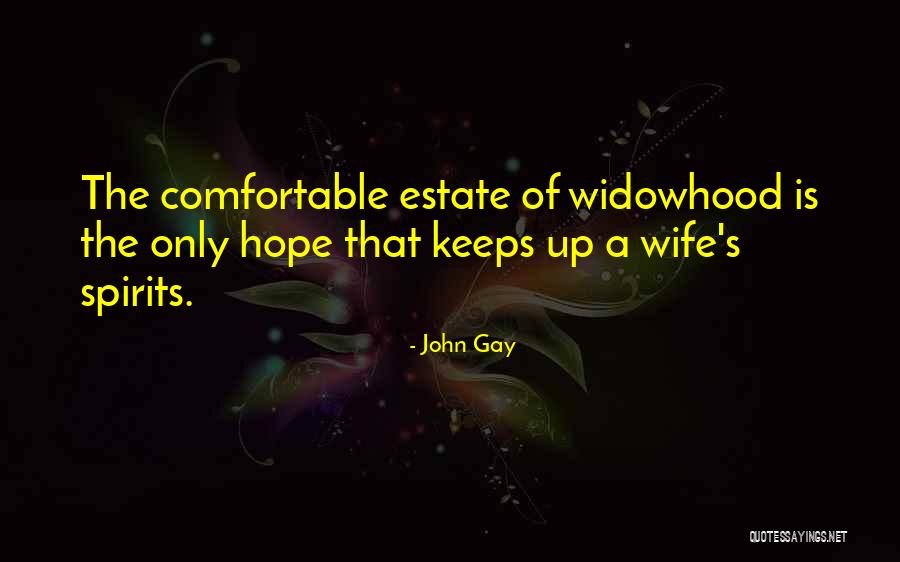Belosky Apartments Quotes By John Gay