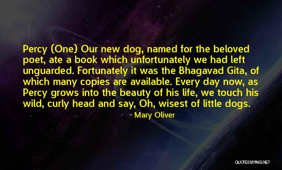 Beloved Dog Quotes By Mary Oliver Beloved Dog Quotes By Mary Oliver