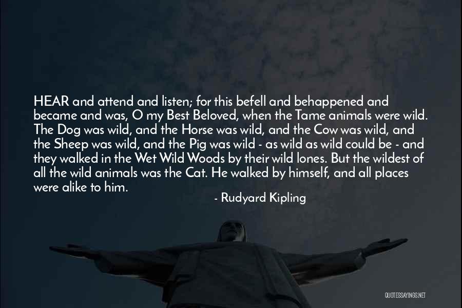 Beloved Dog Quotes By Rudyard Kipling Beloved Dog Quotes By Rudyard Kipling