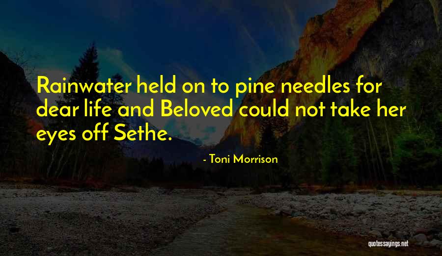 Beloved In Beloved By Toni Morrison Quotes By Toni Morrison Beloved In Beloved By Toni Morrison Quotes By Toni Morrison