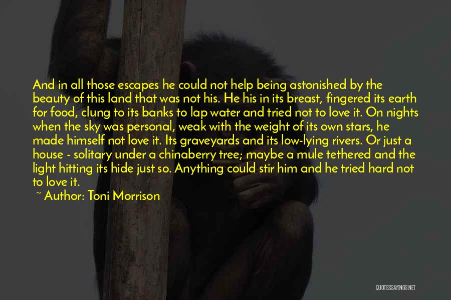 Beloved Toni Morrison Paul D Quotes By Toni Morrison