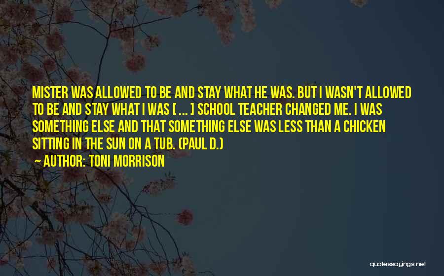 Beloved Toni Morrison Paul D Quotes By Toni Morrison