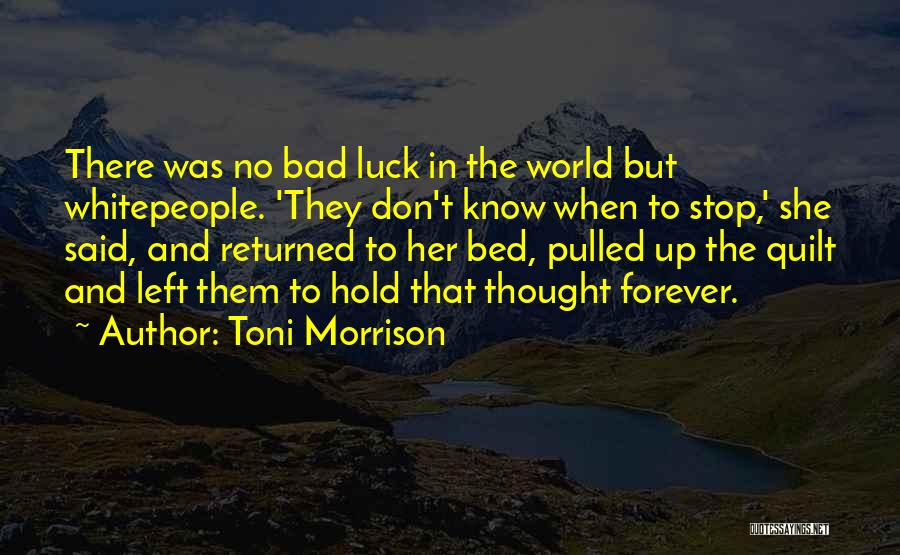 Beloved Toni Morrison Quotes By Toni Morrison