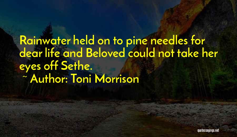 Beloved Toni Morrison Quotes By Toni Morrison