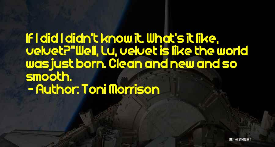 Beloved Toni Morrison Quotes By Toni Morrison