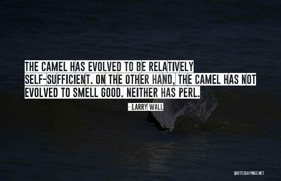 Belovich Quotes By Larry Wall Belovich Quotes By Larry Wall