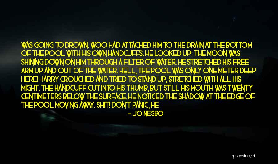 Below The Surface Quotes By Jo Nesbo Below The Surface Quotes By Jo Nesbo